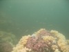 scenery1.jpg